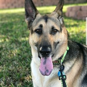 Meet your Posher, Cori